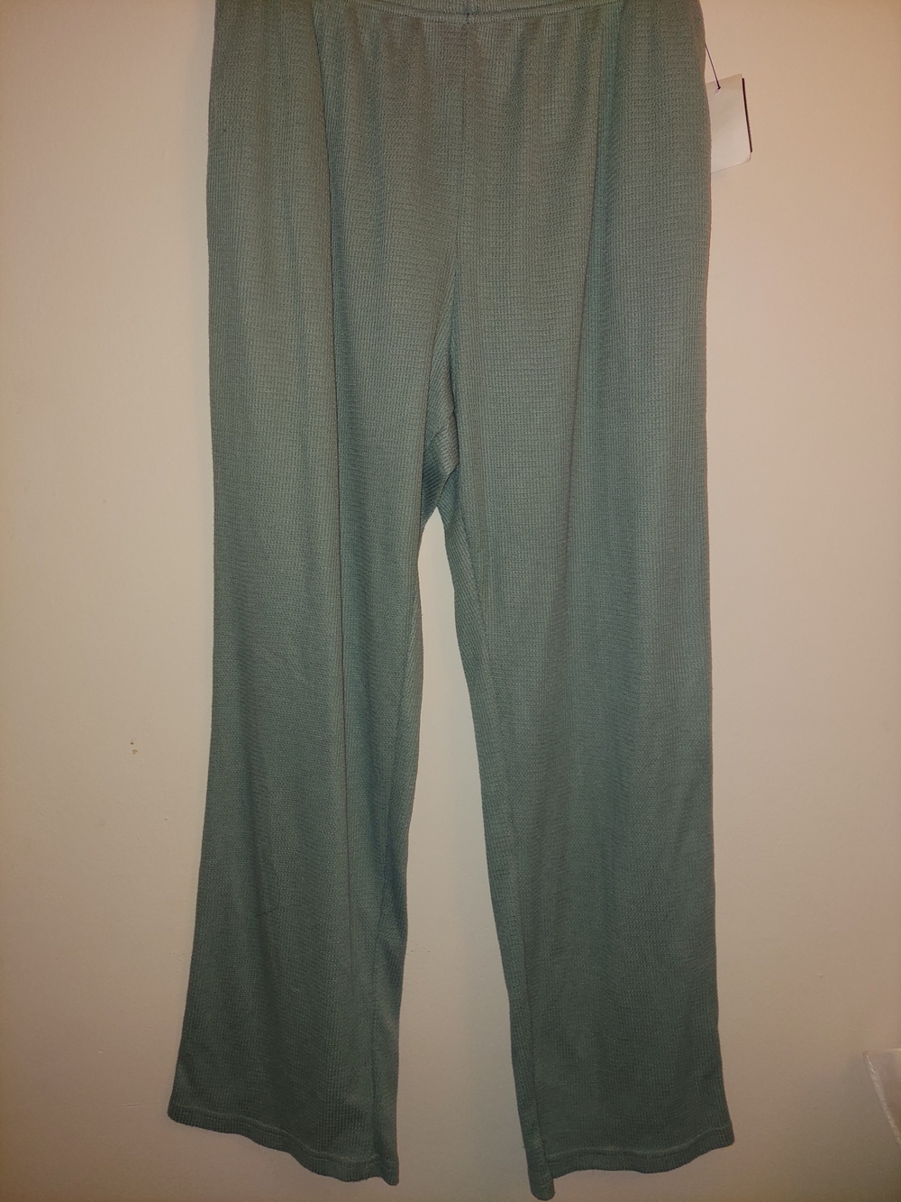 Women's Wide-Leg Pull-On Pants in Sage Green